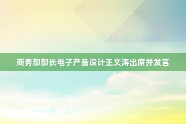 商务部部长电子产品设计王文涛出席并发言